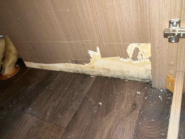 How to Prevent Motorhome Water Damage